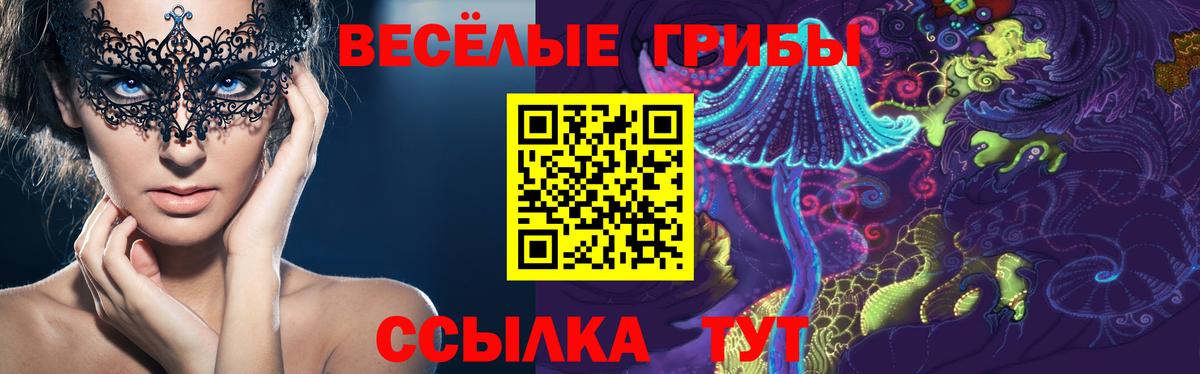 Псилоцибиновые грибы ЛСД Фрязино