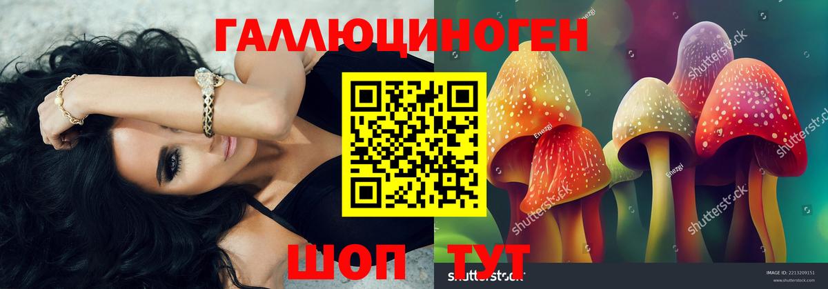 где можно купить наркотик  Вход с VPN  Фрязино  Галлюциногенные грибы MAGIC MUSHROOMS 