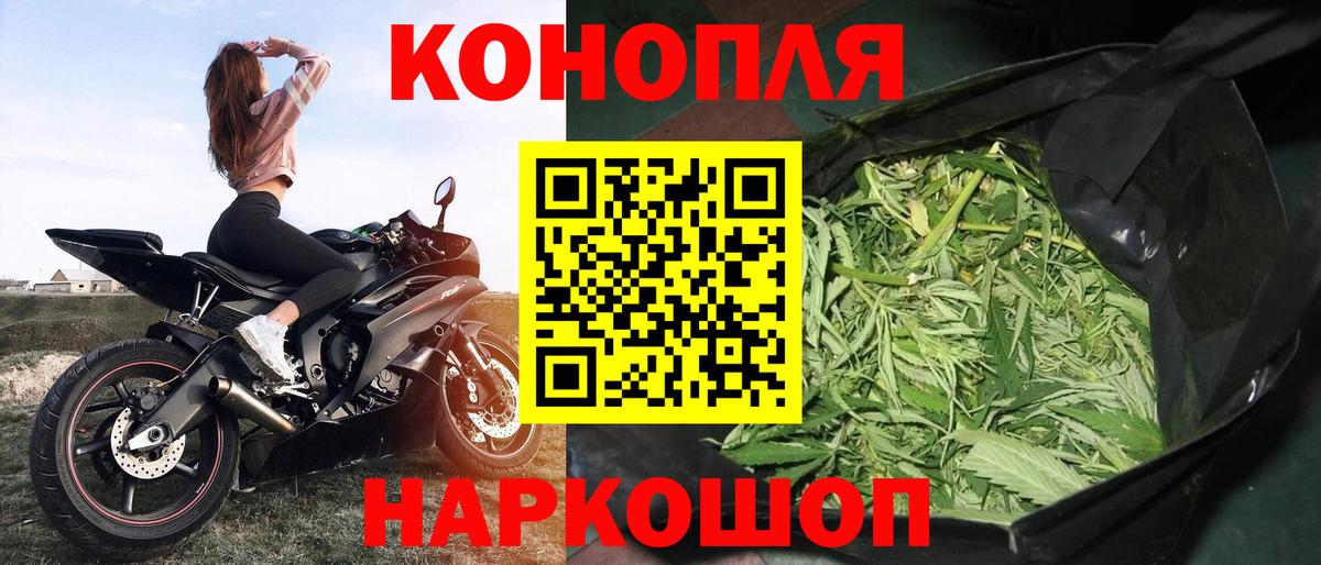 Бошки Шишки план  Вход с VPN  Канабис конопля  Шишки марихуана конопля  Марихуана THC 21%  Фрязино 